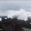 제주 올레길 17코스 이미지