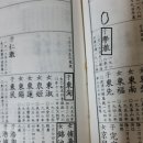 영조 세탁 이미지