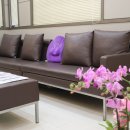 스타비뇨기과의원 이미지