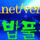 금지면 택촌마을 이미지