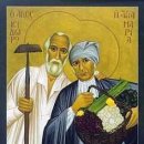 성제농장 이미지