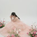 마음치유 생화 플로리스트 | 웨딩촬영 플라워디렉팅 모넬리 대만족 + 생화부케