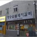 돼지의유혹 이미지