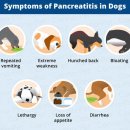 (주)서동메디칼 이미지
