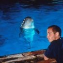 그랑블루 이미지