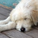 요한약국 이미지