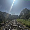 강촌레일바이크 | 춘천 나들이 갈만한곳 강촌레일바이크 김유정레이바이크 가격 후기