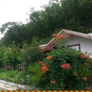 횡성산촌민박 이미지