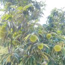 해중산업(주) | [초보 농부의 Farming] 무럭무럭 자라나는 중