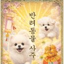 팔자좋은강아지 | 반려동물 사주 운담소 체험단 후기｜강아지 이름 궁합까지 본 결과