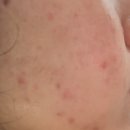 로얄수족관이마트경산점 | [밀려쓰는 일기] 2025년 1월 새해 일상