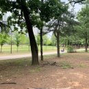 스위첸공원 이미지