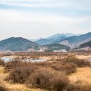 동산리 낚시터 이미지