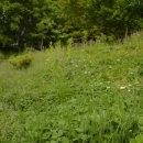 택현농장 | 해일농장 건조캠핑.. (2010.05.29~05.30)