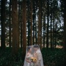 휘파람 | [제주 웨딩 스냅]휘파람 릴리엔 패키지_후기_웨딩 스냅 컨셉 소품 준비물