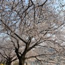 왕의길 민박 이미지