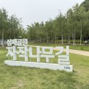 한강 | 삼패공원 남양주한강공원 후기 🌿 양귀비꽃·수레국화 피크닉,라이딩 명소(2025.5.31)