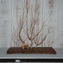 하모니펜션 이미지