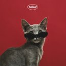 위드덴탈 | 동탄 수원 사진관 헤이쏠스튜디오