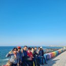 동서지간 | 제주도 쏠라티 투어로 다녀온 봄 제주 동서지간 가족여행