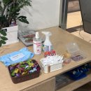 계족산로 | 송촌동 쭈꾸미볶음 맛집 추천, 손의손 방문 후기