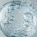 Wellness Gym 이미지