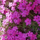 부곡한옥펜션 이미지