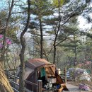 영인산자연휴양림 숲속야영장 | 아산 영인산 자연휴양림 숲속 야영장
