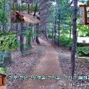 전주농수산물도매시장 이미지