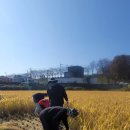 아림고등학교