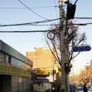 부일초등학교 이미지