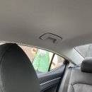 제주도 여행 태광식당, 카페위이, 올레시장 귤떡과 회포장