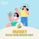 허브이야기 이미지