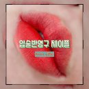 시흥 입술반영구 쿨톤립 입술틴트립 시흥입술 : 제이플