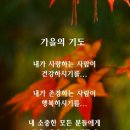 "모란장터 등을 찾아서"＜2019.11.04(월)＞ 이미지