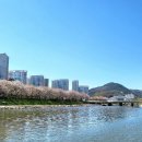 양지천2 이미지