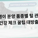 베이비몽 강아지분양 인천청라점 네이버블로그