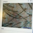 대림하이츠프라자 | 야탑 두피관리 후기｜가려움·비듬 고민으로 다녀온 엠지에프두피전문센터