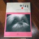 비와시 이미지