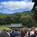 2024 김천 김밥 축제 ⁕ 청암사김밥 추천! 김밥존 웨이팅, 사명대사공원 주차 셔틀버스 꿀팁