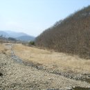 명계3리 Daum카페