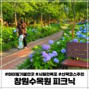 하누리쉼터 벽천분수 | 창원산책코스 추천 창원수목원 피크닉 벽천분수 운영시간