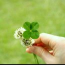 전통놀이지도사 1급 자격 과정 이미지