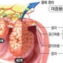참건강나라 이미지