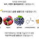 나인티푸드 네이버블로그