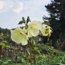 풍암경로당회관 이미지