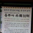 연꽃국수