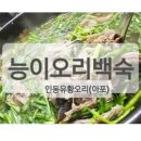 보리문디