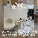 스타벅스옆(석촌호수로174) | 7년 경력의 내공 전대후문 멜로우 왁싱 피부 소영쌤 후기