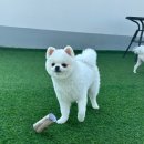 루이야 놀고 자고 GO 이미지